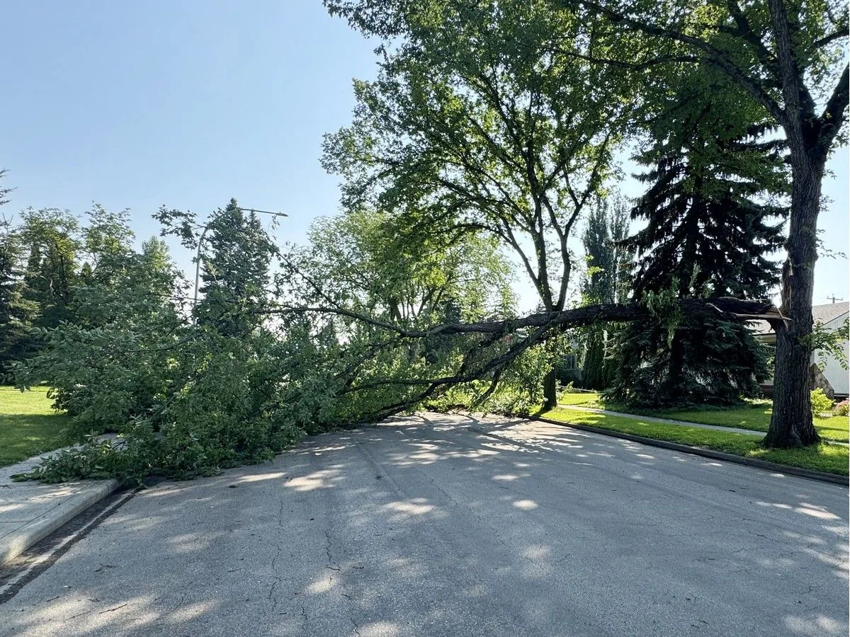 Edmonton hit by severe thunderstorm, causing flooding and road closures