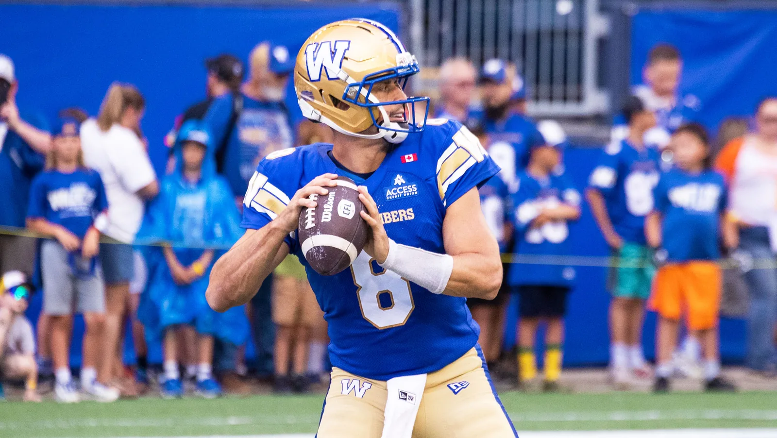 48-Hour Primer | Brown to start again - Winnipeg Blue Bombers